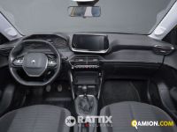 Peugeot 208 1.5 BlueHDI 100CV Active Pack  | Altro Altro