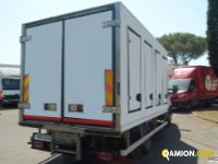 Iveco 65C17 CABINATO | Leggero Cabinato > 35 q.li Isotermico / coibentato | ROMANA DIESEL SPA