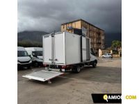 Iveco Daily 35c16 35q Frigo Daily 35c16 35q Frigo | Altro Altro