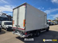 Iveco DAILY 65C15 DAILY 65C15 | Millenium Car