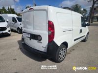 Fiat DOBLO' DOBLO' | Millenium Car