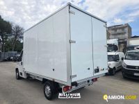 Opel MOVANO MOVANO | Millenium Car