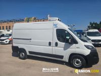 Fiat DUCATO DUCATO | Millenium Car