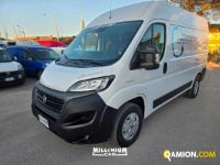 Fiat Ducato (4ª serie) Ducato (4ª serie) | Millenium Car