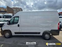 Fiat DUCATO DUCATO | Millenium Car