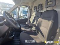Fiat DUCATO ducato | Millenium Car