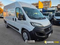 Fiat Ducato (4ª serie) Ducato (4ª serie) | Millenium Car
