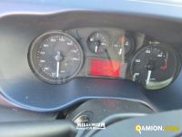 Iveco 50C14 50C14 | Millenium Car