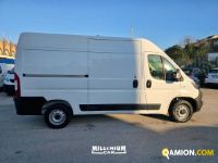 Fiat Ducato (4ª serie) Ducato (4ª serie) | Millenium Car