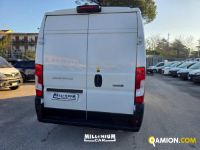 Fiat Ducato (4ª serie) Ducato (4ª serie) | Millenium Car