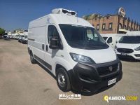 Fiat DUCATO DUCATO | Millenium Car