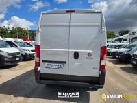 Fiat DUCATO DUCATO | Millenium Car