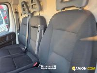 Fiat DUCATO DUCATO | Millenium Car