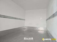 Iveco Daily V 35.14 2019 Daily V 35.14 2019 | Millenium Car