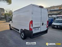 Fiat Ducato (4ª serie) Ducato (4ª serie) | Millenium Car