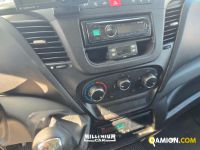 Iveco DAILY 65C15 DAILY 65C15 | Millenium Car