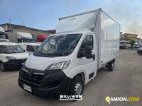 Opel MOVANO MOVANO | Millenium Car