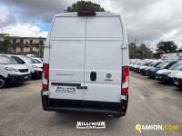 Fiat Ducato (4ª serie) Ducato (4ª serie) | Millenium Car