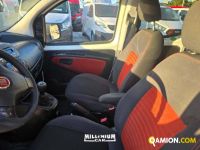 Fiat QUBO QUBO | Millenium Car