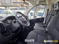 Fiat Ducato (4ª serie) Ducato (4ª serie) | Millenium Car
