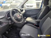 Fiat DOBLO doblo | Millenium Car
