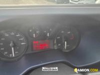 Iveco DAILY 35C18 DAILY 35C18 | Millenium Car