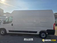 Fiat DUCATO ducato | Millenium Car