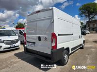 Fiat DUCATO DUCATO | Millenium Car