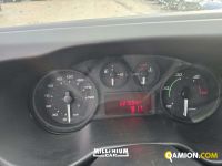 Iveco DAILY 60C15 DAILY 60C15 | Millenium Car