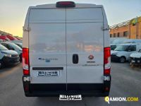 Fiat Ducato (4ª serie) Ducato (4ª serie) | Millenium Car
