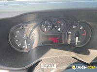 Iveco DAILY 65C15 DAILY 65C15 | Millenium Car