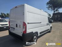 Fiat DUCATO DUCATO | Millenium Car