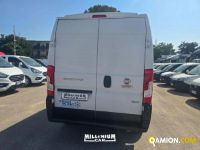 Fiat DUCATO DUCATO | Millenium Car