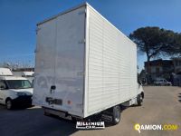 Iveco DAILY 35C14 DAILY 35C14 | Millenium Car