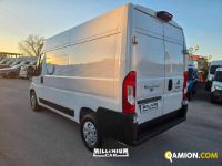 Fiat Ducato (4ª serie) Ducato (4ª serie) | Millenium Car