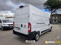 Fiat Ducato (4ª serie) Ducato (4ª serie) | Millenium Car
