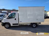 Fiat DUCATO ducato | Millenium Car