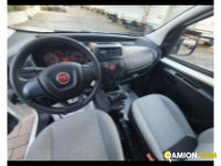 FIAT Fiorino III 2016 Fiorino III 2016 FIORINO CARGO  Altro | AUTO INDUSTRIALE BERGAMASCA SPA