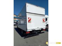 IVECO** 35C16 | Leggeri fino 35 q.li Altro | Luigi Bacchi IVECO