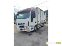 IVECO** 80E22 | Medi  da 36 a 150 q.li Altro | Luigi Bacchi IVECO