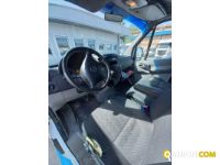 MERCEDES** SPRINTER SPRINTER  | Leggero Cabinato <= 35 q.li Isotermico con gruppo frigo | Luigi Bacchi IVECO