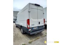 IVECO** 35S15V | Leggeri fino 35 q.li Altro | Luigi Bacchi IVECO