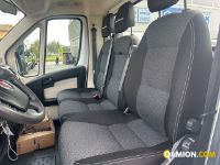Fiat Mod. FIAT Vers. FIAT | Leggero Cabinato <= 35 q.li Telaio | INDUSTRIAL CARS S.P.A