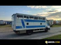Iveco Mod. IVECO Vers. IVECO | Leggero Cabinato > 35 q.li Trasporto animali | INDUSTRIAL CARS S.P.A