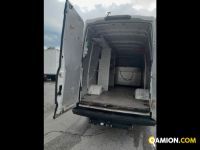 Iveco Mod. IVECO Vers. IVECO | Leggero Cabinato > 35 q.li Furgone di serie / Van | INDUSTRIAL CARS S.P.A
