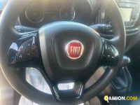 Fiat Mod. FIAT Vers. FIAT | Leggero Furgone <= 35 q.li Furgone di serie / Van | INDUSTRIAL CARS S.P.A