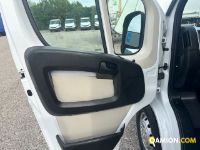 Fiat Mod. FIAT Vers. FIAT | Leggero Cabinato <= 35 q.li Telaio | INDUSTRIAL CARS S.P.A