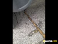 Iveco Mod. IVECO Vers. IVECO | Trattore Trattore | INDUSTRIAL CARS S.P.A