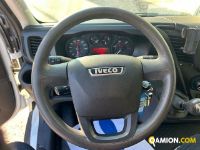 Iveco Mod. IVECO Vers. IVECO | Leggero Furgone <= 35 q.li Furgone di serie / Van | INDUSTRIAL CARS S.P.A