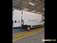 Fiat DUCATO Vers. FIAT | Leggero Furgone <= 35 q.li Furgone di serie / Van | INDUSTRIAL CARS S.P.A